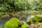 Creek near Mount Talinis, Negros island, Philippin