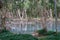 A Creek Prone To Flooding In The Wet Season