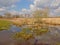 Creek with reed and bare trees under dark clouds