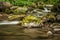 Creek, rocks and vegetation