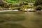 Creek, rocks and vegetation