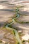 Creek running towards the Gulf of Carpentaria