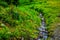 Creek running through the Wild Flowers on Tod Mountain