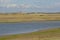 Creek in a salt marsh in Zwin nature reserve , with creeks and dunes . Knokke, Belgium