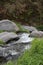 Creek surrounded with stones and grass close to Kedung Kayang waterfall, Java, Indonesia