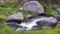 Creek surrounded with stones and grass close to Kedung Kayang waterfall, Java, Indonesia