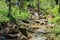 Creek With Travertine Steps in Fall Ridge Preserve
