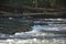 creek in Vickery Creek Falls in Roswell Mill