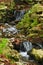 Creek with waterfalls