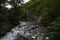 Creek on the way to the Mirador Torres del Paine, Chile