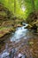 creek winding through rocks in the forest