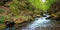 creek winding through rocks in the forest