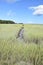 Creek Winding Through Tidal Marsh and Bogs