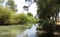 Creek in the woodsâ€“ Yarkon river, Yarkon Creek