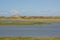 Creeks in a salt marsh in Zwin nature reserve , with creeks and dunes . Knokke, Belgium