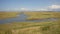 Creeks in a salt marsh in Zwin nature reserve , with creeks and dunes . Knokke, Belgium