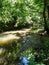 Creekside Trail to Starmount Farms Lake in Greensboro