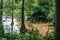 Creekside Trail to Starmount Farms Lake in Greensboro
