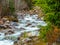 Creekside Yellowhead Trail Mount Robson Provincial Park