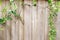 Creeper Plants on Wooden Fence