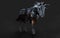 A creepy armored dark horse pose on black background