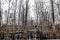 Creepy Barren Swamp Forest