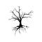 Creepy dead tree silhouette vector illustration