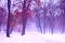 Creepy and foggy winter landscape in snowy park, with abandoned path. Moody, gloomy, dull, romantic atmosphere of faded nature, in