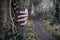 A creepy hand holding onto a tree trunk. Next to a forest path on a bleak winters day