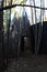 Creepy Hut in Woods