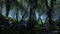 Creepy mystic magic deep forest