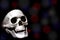 Creepy smiling skeleton skull close up on black bokeh background with copy space, death and mystery concept, halloween