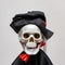 Creepy smiling skeleton skull wearing carnival costume for halloween close up on white background, death and mystery concept,