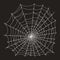 Creepy spider web monochrome element