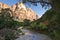 Crek in Zion National Park, Utah