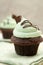 Creme De Mint Cupcake