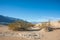 Creosote in Death Valley