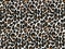 Crepe paper that has a leopard or jaguar pattern for wallpaper or backgrounds