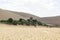 Crescent Lake in Dunhuang, China