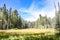 Crescent meadow in Sequoia national park, California