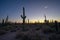 Crescent moon over silhouettes of Saguaro cactus