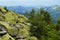 Crest of the mountain range with stone placers covered with green lichens and slopes with spruce forest in Carpathian Mountains at