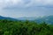 Crest of the mountain range with stone placers covered with green lichens and slopes with spruce forest in Carpathian Mountains at