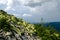 Crest of the mountain range with stone placers covered with green lichens and slopes with spruce forest in Carpathian Mountains at