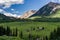 Crested butte colorado mountain landscape and wildflowers