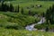 Crested butte colorado mountain landscape and wildflowers