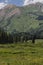 Crested Butte Colorado Rocky Mountains