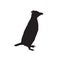 Crested Penguin Eudyptes robustus Silhouette Vector Found In Antartic