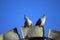 Crested pigeons perched on windmill