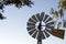 Crested pigeons perched on windmill framed by leaves